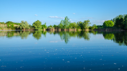 Panorama landscape. Beautiful summer lake with cloudy sky background. Water mirror with poplar fluff.