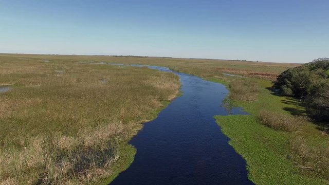 Aerial shot tracking along a watercourse in Ibera Wetlands, Corrientes Province, Argentina