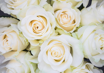 Obraz na płótnie Canvas Perfect bouquet of creme luxurious roses for wedding, birthday or Valentine's day. Top view