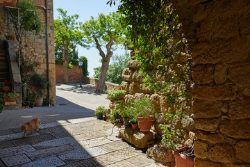 Obraz premium Aleja w starym miasteczku, Tuscany Włochy