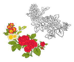 Set of outline and colored vintage flowers bouquet or pattern.
