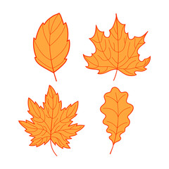 Collection of orange leaves on a white background, colorful autumn leaves set, hand-drawn leaves tree decoration art, EPS 8