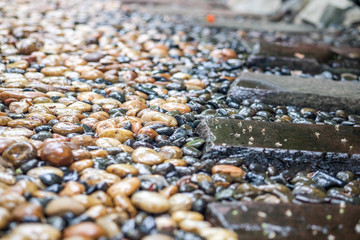 rainy on stone in the garden