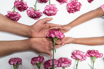 Muttertag - Hände von Mutter und Tochter mit Blumen auf weißem Hintergrund