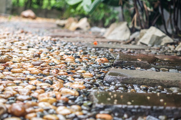 rainy on stone in the garden