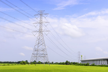 The electric pylon in the rice field with the blue sky. Energy distribution concept.