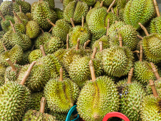 Durian fruit in Thailand