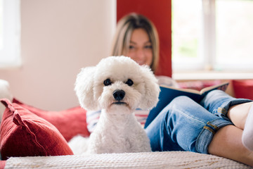 Girl on sofa with her dog friend