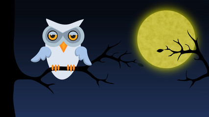 Owl sitting on tree branch at night. Concept of nature and wisdom.
