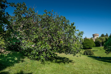 VOLTERRA, TUSCANY - MAY 21, 2017 - Medici fortress with the park in Volterra