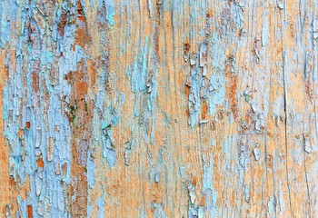 Old painted wood wall - texture or background.