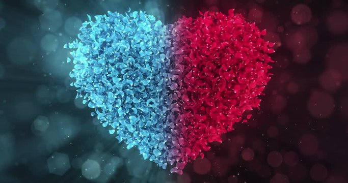 Red Blue Rose Flower Petals In Lovely Heart Shape Background Loop 4k