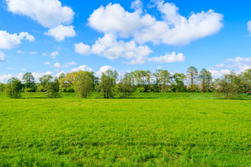 Green meadow with trees in background and beautiful clouds on blue sky in rural area of Krakow city...