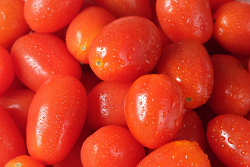 Cherry tomatoes with drops water background