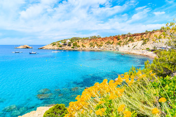 View of Cala d'Hort beach with beautiful azure blue sea water and yellow spring flowers in foreground, Ibiza island, Spain