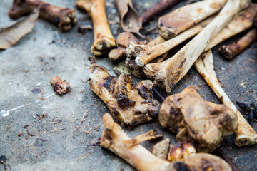 Bone pork leg 