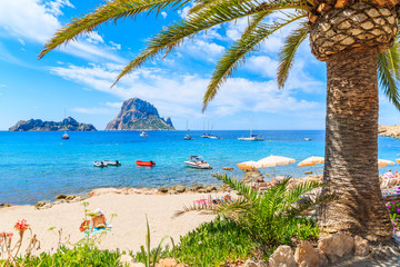 View of idyllic beach of Cala d'Hort wih palm tree in foreground, Ibiza island, Spain