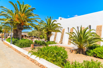 Fototapeta na wymiar Typical white church and palm trees in Es Cubells village, Ibiza island, Spain