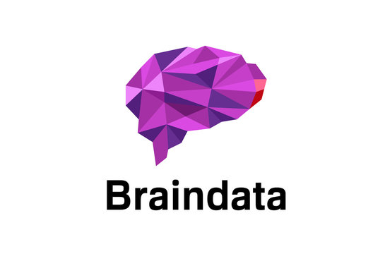 Brain Database Logo Design Illustration