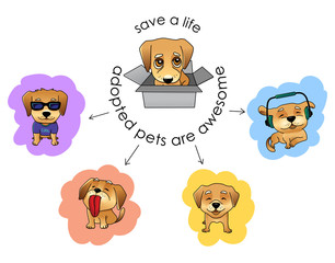 Adopt a pet vector illustration