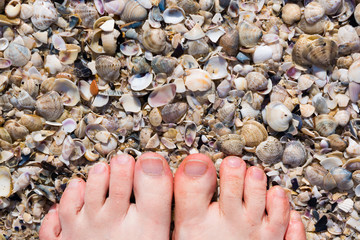 Foot on sea shells background
