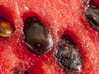 detailed closeup of watermelon