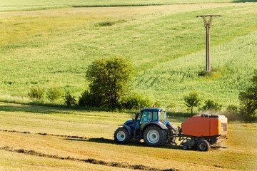 Fototapeta premium Blue tractor collects dry hay. Agricultural work on the farm in the Czech Republic.