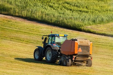 Fototapeta premium Blue tractor collects dry hay. Agricultural work on the farm in the Czech Republic.