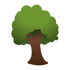 Beautiful tree isolated icon vector illustration graphic design