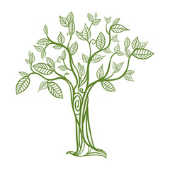 Beautiful tree isolated icon vector illustration graphic design