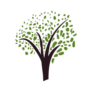Beautiful tree isolated icon vector illustration graphic design