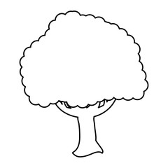 Beautiful tree isolated icon vector illustration graphic design
