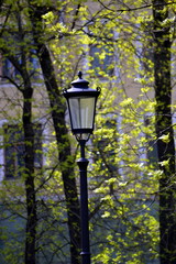 Уличный фонарь в парке