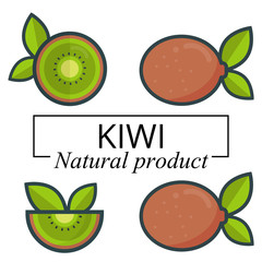 cartoon kiwi set with text