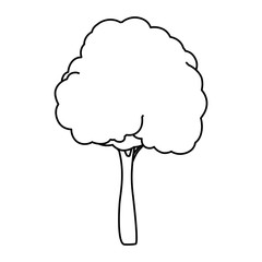 Beautiful tree isolated icon vector illustration graphic design