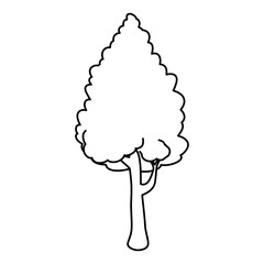 Beautiful tree isolated icon vector illustration graphic design