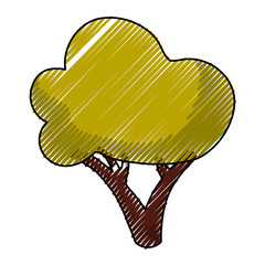 Beautiful tree isolated icon vector illustration graphic design