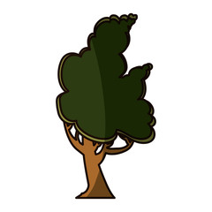 Beautiful tree isolated icon vector illustration graphic design