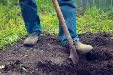 Фермер вскапывает землю