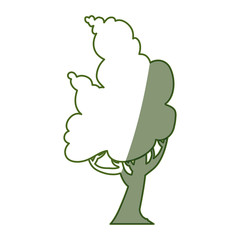 Beautiful tree isolated icon vector illustration graphic design
