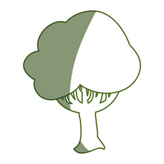 Beautiful tree isolated icon vector illustration graphic design