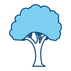 Beautiful tree isolated icon vector illustration graphic design