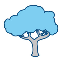 Beautiful tree isolated icon vector illustration graphic design
