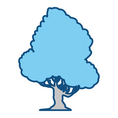 Beautiful tree isolated icon vector illustration graphic design