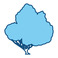 Beautiful tree isolated icon vector illustration graphic design