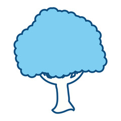 Beautiful tree isolated icon vector illustration graphic design