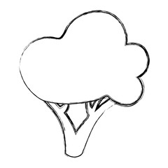 Beautiful tree isolated icon vector illustration graphic design