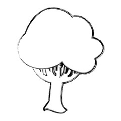 Beautiful tree isolated icon vector illustration graphic design