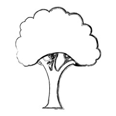 Beautiful tree isolated icon vector illustration graphic design