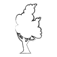 Beautiful tree isolated icon vector illustration graphic design